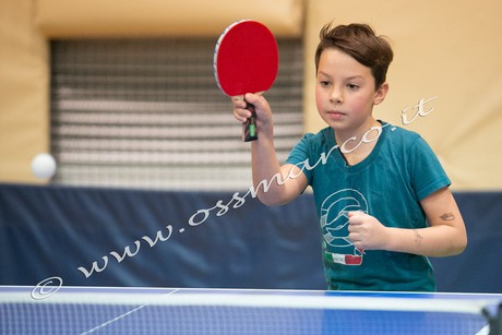 Samuele Widesott