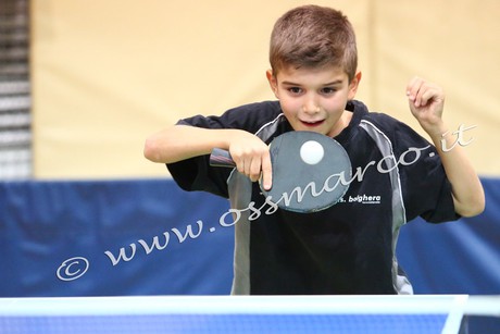 Andrea Montermini 2019