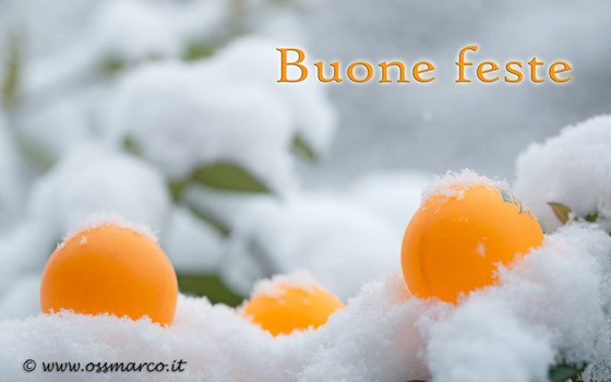 Natale 2020