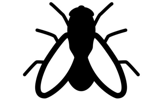 Mosca