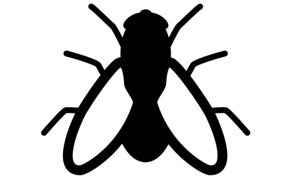 Mosca