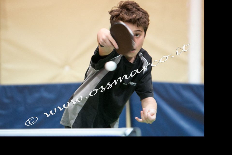 Lorenzo Bertorelli 2019