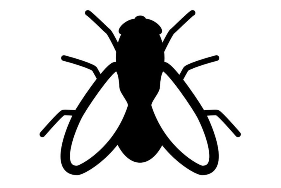 Mosca